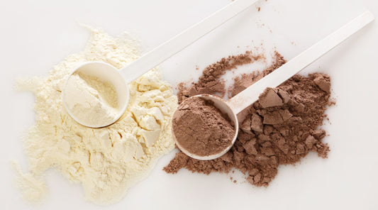 The Best Plant-Based Protein Powders for Your Nutrition Needs